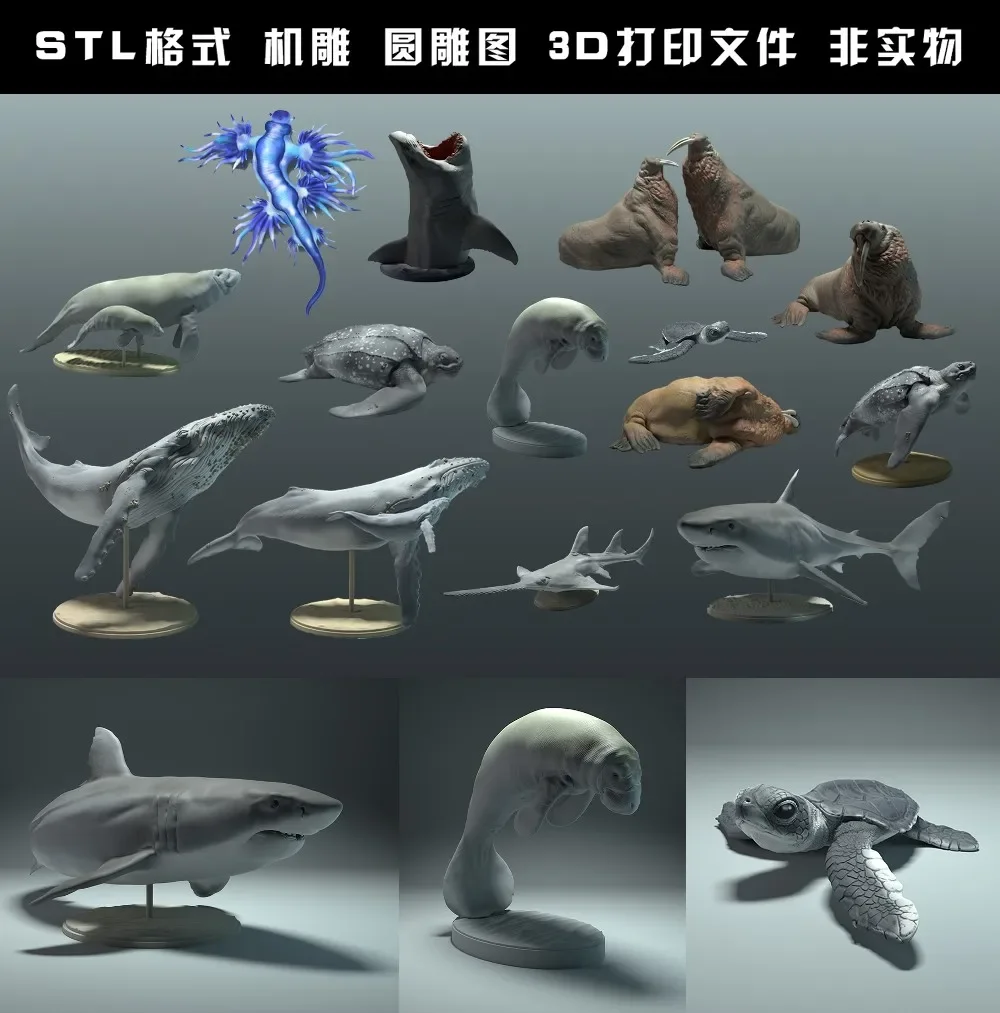 Círculo carving stl arquivo pa - 3D Printing File Stl avaliação e preço